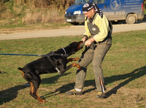 Training in Prague 3/2007